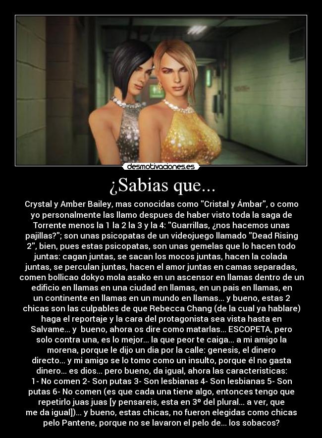 ¿Sabias que... - Crystal y Amber Bailey, mas conocidas como Cristal y Ámbar, o como
yo personalmente las llamo despues de haber visto toda la saga de
Torrente menos la 1 la 2 la 3 y la 4: Guarrillas, ¿nos hacemos unas
pajillas?; son unas psicopatas de un videojuego llamado Dead Rising
2, bien, pues estas psicopatas, son unas gemelas que lo hacen todo
juntas: cagan juntas, se sacan los mocos juntas, hacen la colada
juntas, se perculan juntas, hacen el amor juntas en camas separadas,
comen bollicao dokyo mola asako en un ascensor en llamas dentro de un
edificio en llamas en una ciudad en llamas, en un pais en llamas, en
un continente en llamas en un mundo en llamas... y bueno, estas 2
chicas son las culpables de que Rebecca Chang (de la cual ya hablare)
haga el reportaje y la cara del protagonista sea vista hasta en
Salvame... y  bueno, ahora os dire como matarlas... ESCOPETA, pero
solo contra una, es lo mejor... la que peor te caiga... a mi amigo la
morena, porque le dijo un dia por la calle: genesis, el dinero
directo... y mi amigo se lo tomo como un insulto, porque él no gasta
dinero... es dios... pero bueno, da igual, ahora las caracteristicas:
1- No comen 2- Son putas 3- Son lesbianas 4- Son lesbianas 5- Son
putas 6- No comen (es que cada una tiene algo, entonces tengo que
repetirlo juas juas [y pensareis, esta en 3º del plural... a ver, que
me da igual])... y bueno, estas chicas, no fueron elegidas como chicas
pelo Pantene, porque no se lavaron el pelo de... los sobacos?