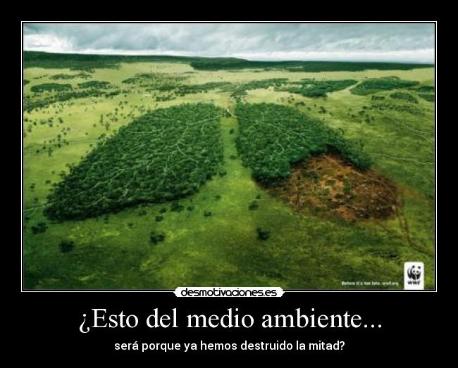 ¿Esto del medio ambiente... -