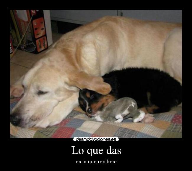 Lo que das - es lo que recibes-