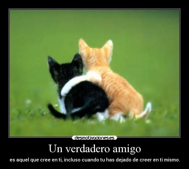 Un verdadero amigo - es aquel que cree en ti, incluso cuando tu has dejado de creer en ti mismo.