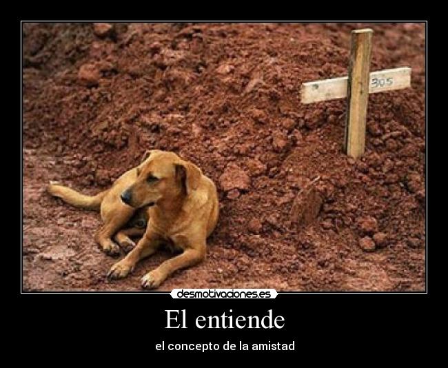 El entiende -