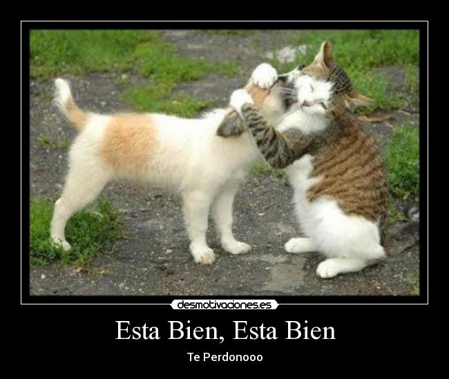 Esta Bien, Esta Bien - Te Perdonooo