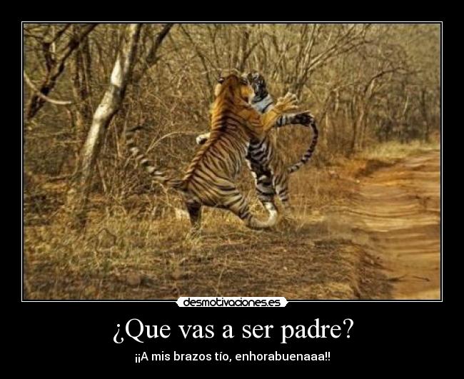 ¿Que vas a ser padre? -