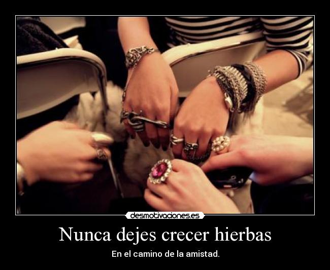 carteles amistad amigas hierba pitusina1 desmotivaciones