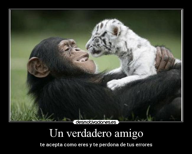 Un verdadero amigo - 
