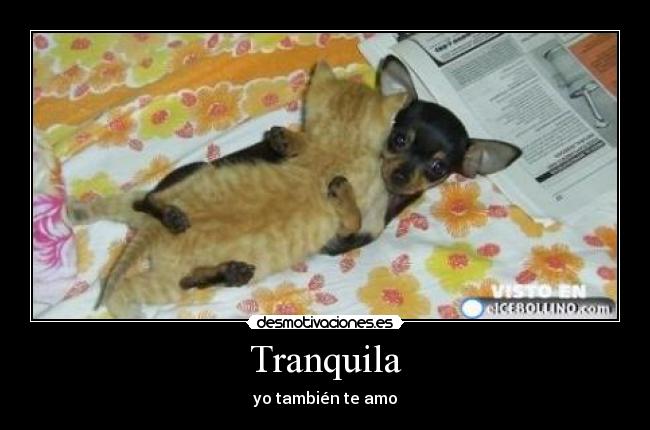 Tranquila -