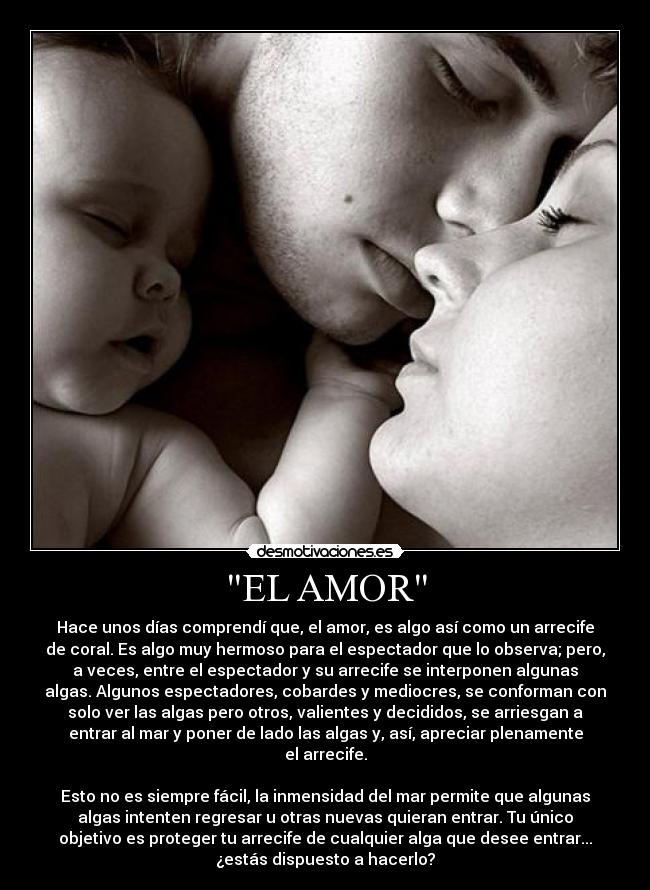 EL AMOR - Hace unos días comprendí que, el amor, es algo así como un arrecife
de coral. Es algo muy hermoso para el espectador que lo observa; pero,
a veces, entre el espectador y su arrecife se interponen algunas
algas. Algunos espectadores, cobardes y mediocres, se conforman con
solo ver las algas pero otros, valientes y decididos, se arriesgan a
entrar al mar y poner de lado las algas y, así, apreciar plenamente
el arrecife.

Esto no es siempre fácil, la inmensidad del mar permite que algunas
algas intenten regresar u otras nuevas quieran entrar. Tu único
objetivo es proteger tu arrecife de cualquier alga que desee entrar...
¿estás dispuesto a hacerlo?