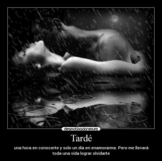 Tardé - una hora en conocerte y solo un día en enamorarme. Pero me llevará
toda una vida lograr olvidarte