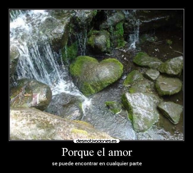 Porque el amor -