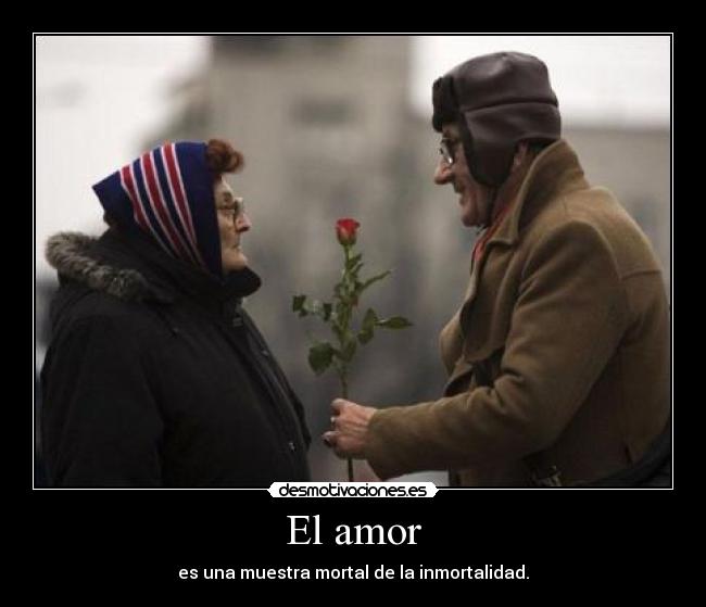 El amor - 