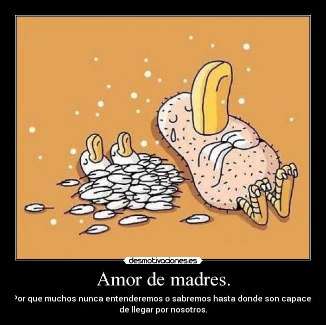 Amor de madres. - 