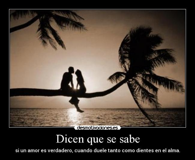 Dicen que se sabe -