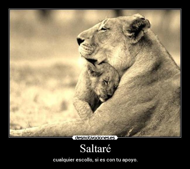 Saltaré - 