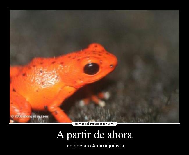 A partir de ahora - me declaro Anaranjadista