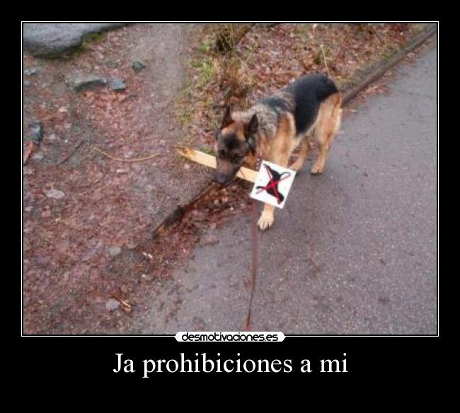 Ja prohibiciones a mi -