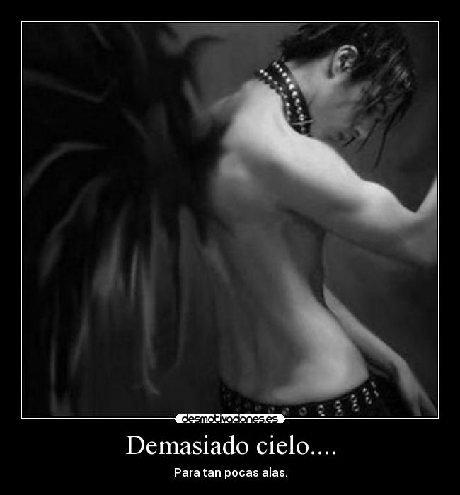 Demasiado cielo.... - Para tan pocas alas.