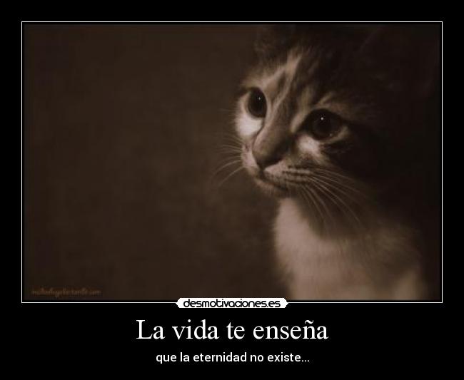 La vida te enseña - que la eternidad no existe...