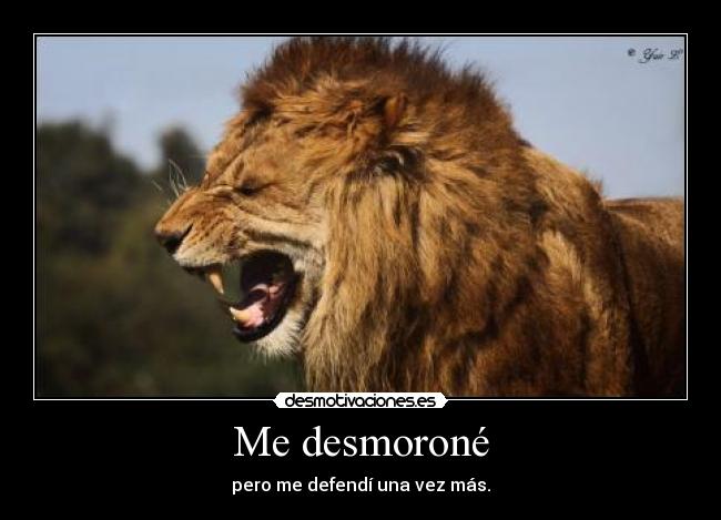 Me desmoroné - pero me defendí una vez más.