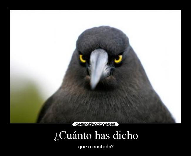 ¿Cuánto has dicho -