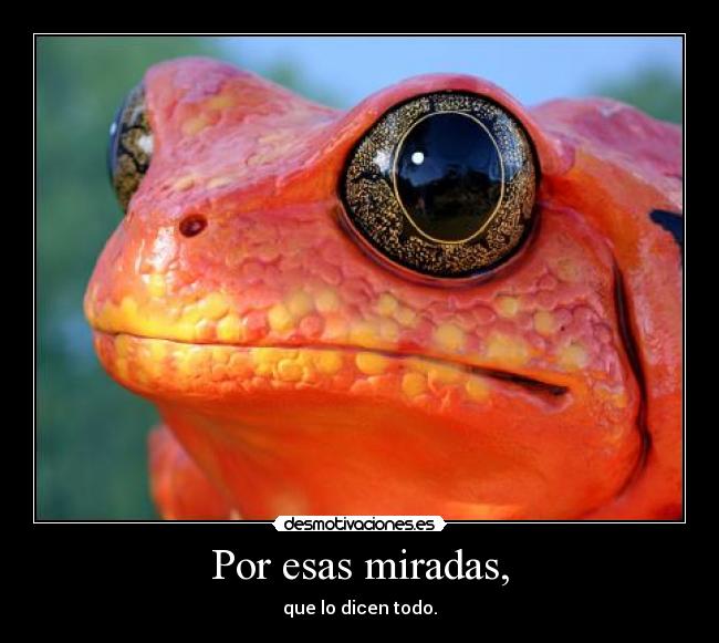 Por esas miradas, - que lo dicen todo.