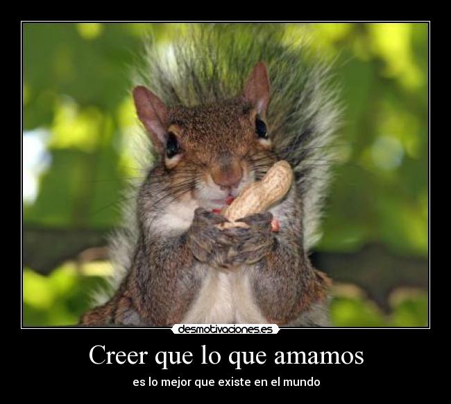 Creer que lo que amamos - es lo mejor que existe en el mundo