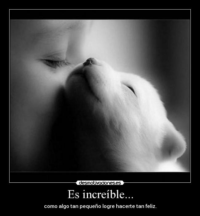 carteles increible como algo tan pequeno logre hacerte tan feliz desmotivaciones