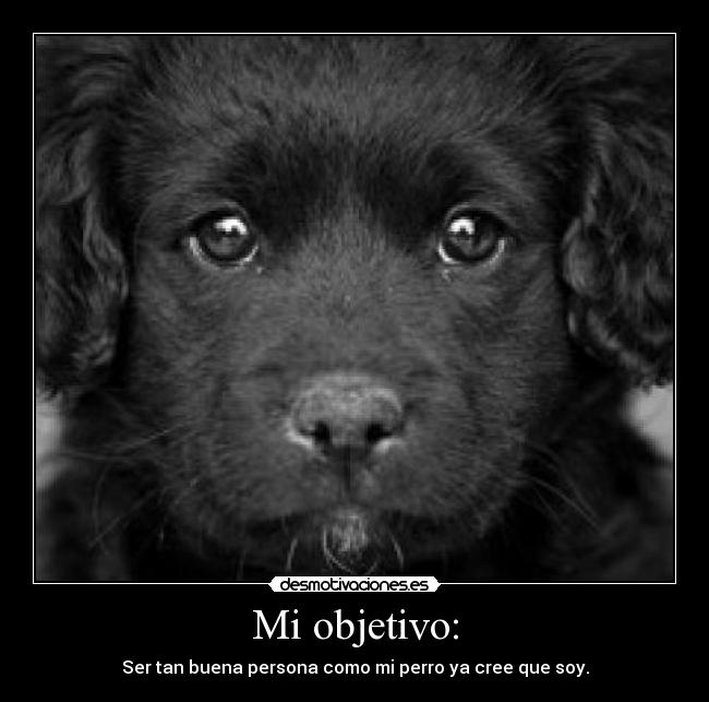 Mi objetivo: - Ser tan buena persona como mi perro ya cree que soy.