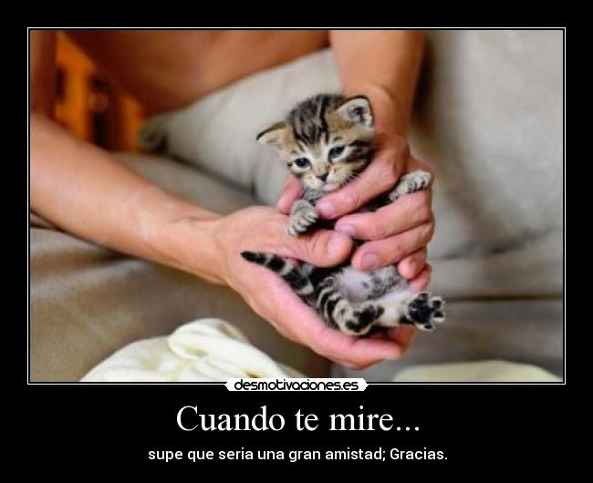 Cuando te mire... - 