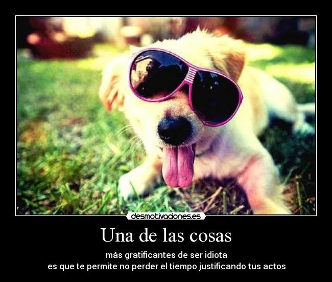 carteles dame esa patita ita ita dame esa patita sigueme desmotivaciones