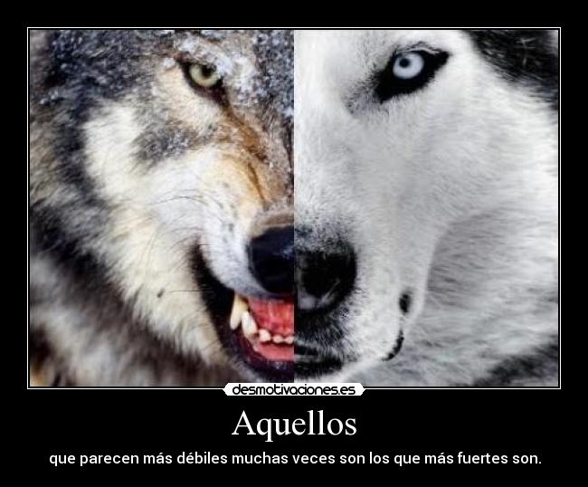 Aquellos -