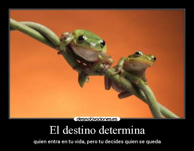 El destino determina - quien entra en tu vida, pero tu decides quien se queda