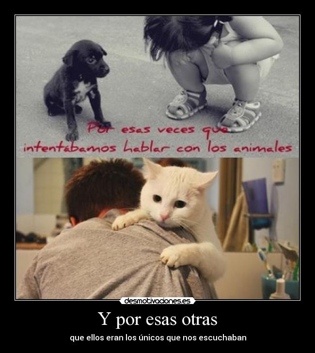 carteles que mono perrito arriba tipico chiste que mono que perro jajaj risa falsa desmotivaciones