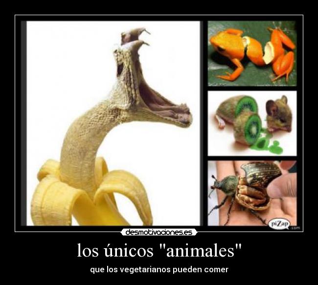 los únicos animales - que los vegetarianos pueden comer