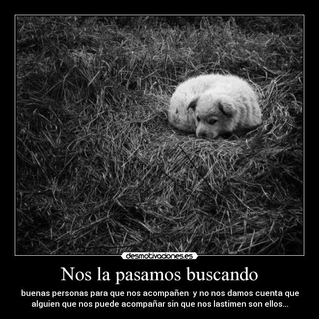 Nos la pasamos buscando - buenas personas para que nos acompañen y no nos damos cuenta que
alguien que nos puede acompañar sin que nos lastimen son ellos...