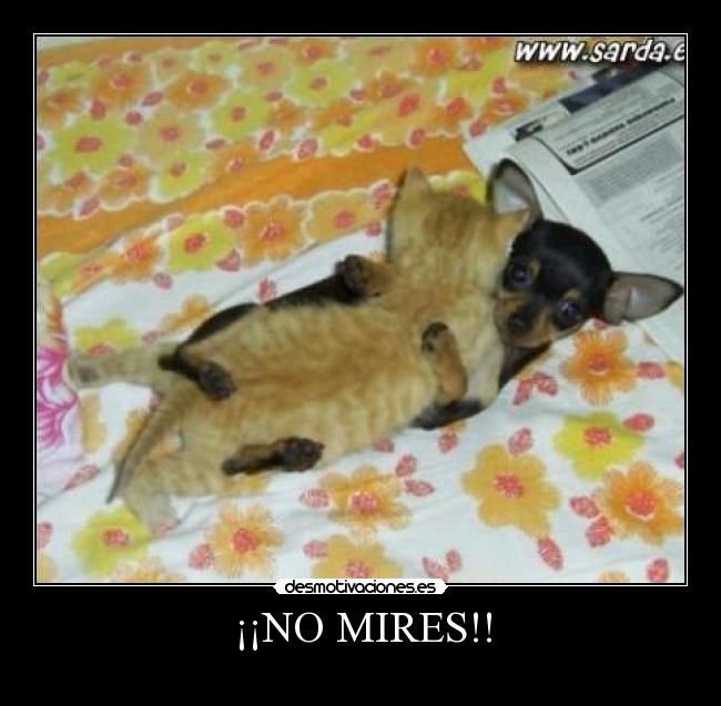 ¡¡NO MIRES!! -