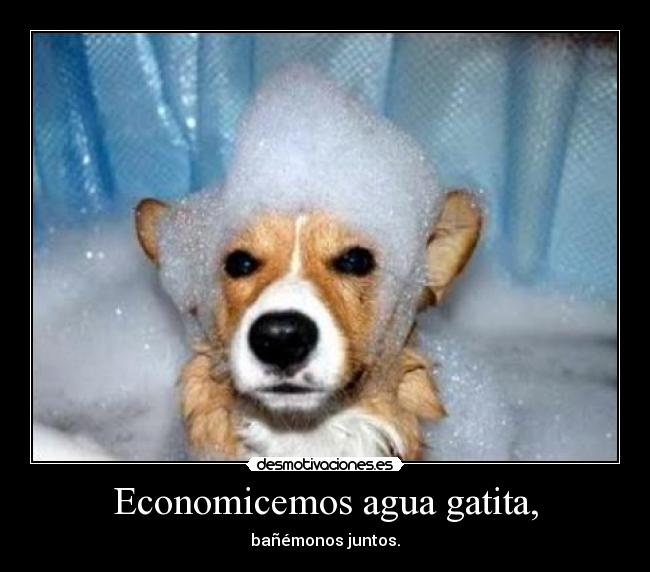 Economicemos agua gatita, - bañémonos juntos.