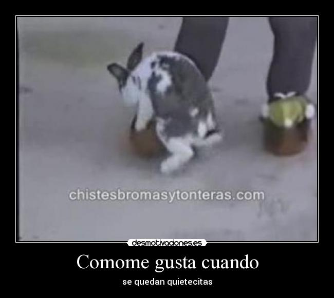 Comome gusta cuando - se quedan quietecitas