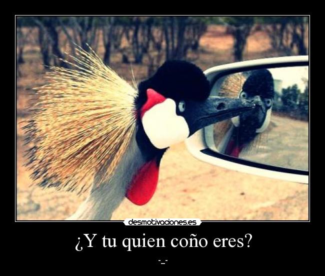 ¿Y tu quien coño eres? - 
