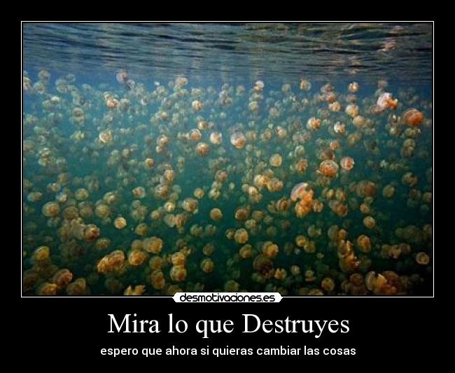 Mira lo que Destruyes - espero que ahora si quieras cambiar las cosas