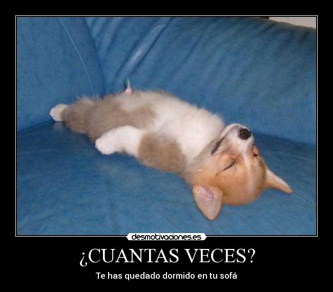 ¿CUANTAS VECES? - Te has quedado dormido en tu sofá