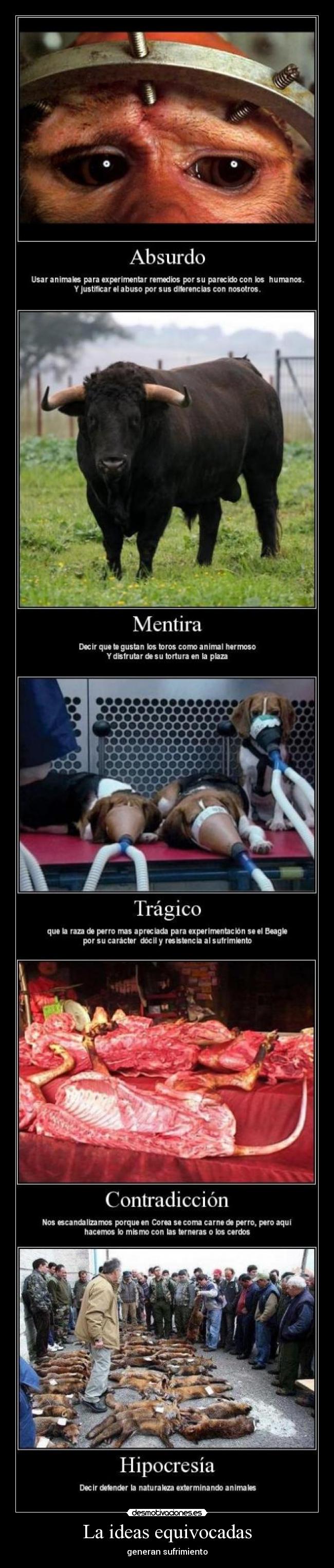 La ideas equivocadas - generan sufrimiento