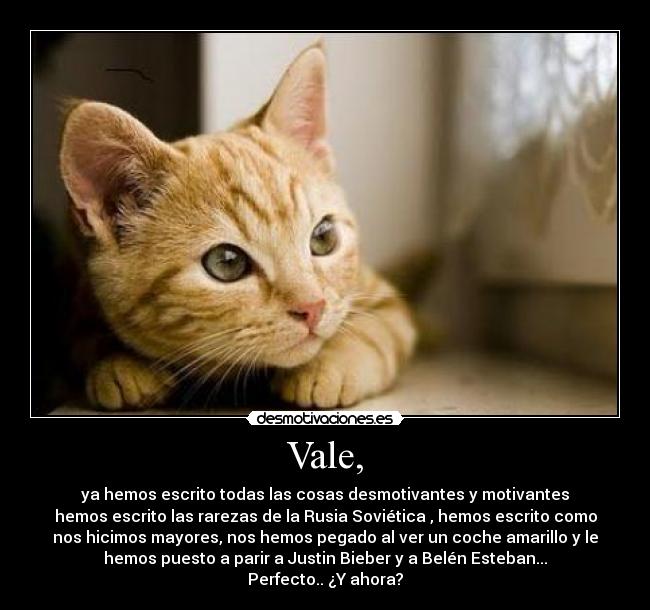 Vale, - ya hemos escrito todas las cosas desmotivantes y motivantes
hemos escrito las rarezas de la Rusia Soviética , hemos escrito como
nos hicimos mayores, nos hemos pegado al ver un coche amarillo y le
hemos puesto a parir a Justin Bieber y a Belén Esteban...
Perfecto.. ¿Y ahora?