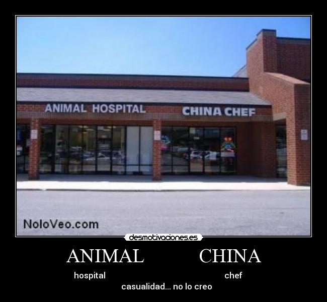 ANIMAL           CHINA - 