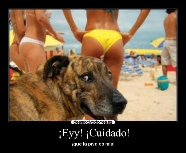 ¡Eyy! ¡Cuidado! - ¡que la piva es mía!