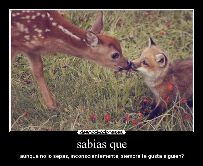 sabias que - 
