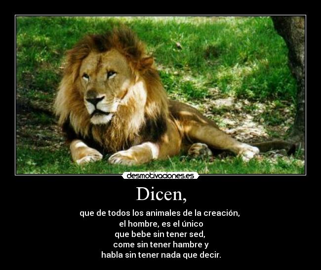 Dicen, - 