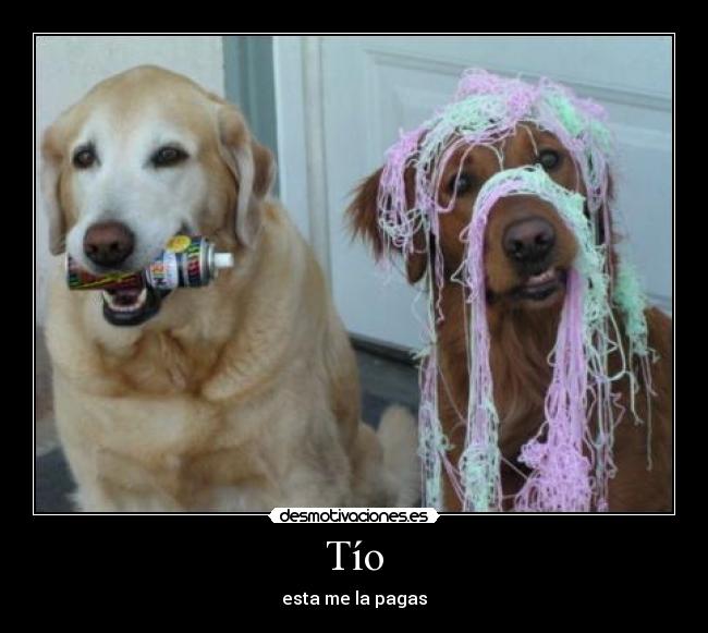 Tío - esta me la pagas