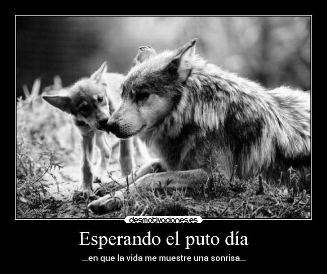 carteles dreadk vida mierda esto desmotivaciones pues aqui tienen cartelito desmotivador desmotivaciones