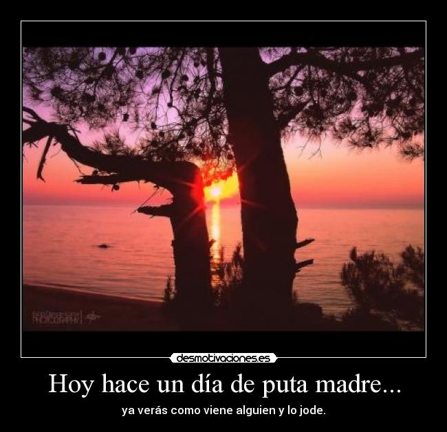 Hoy hace un día de puta madre... - 