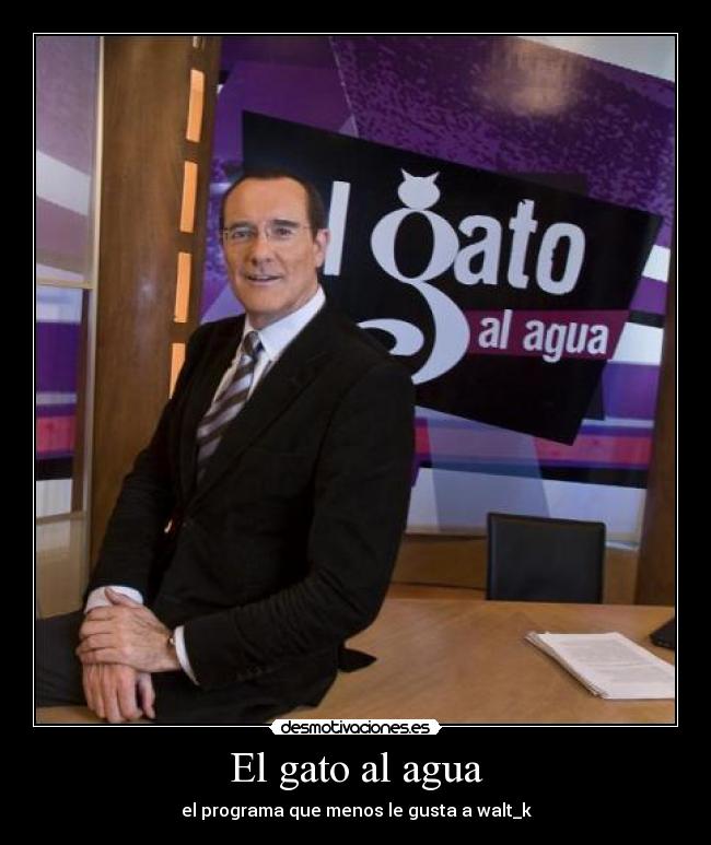 El gato al agua - 
